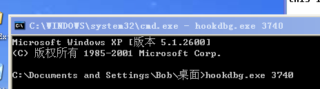 图30-4 运行hookdbg.exe